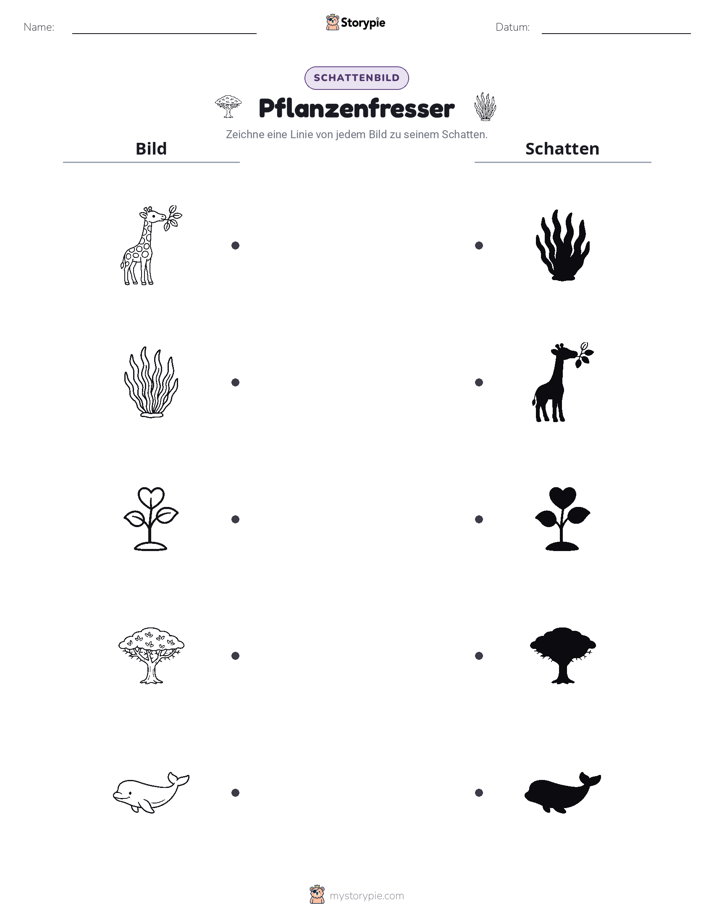 Schattenmatch