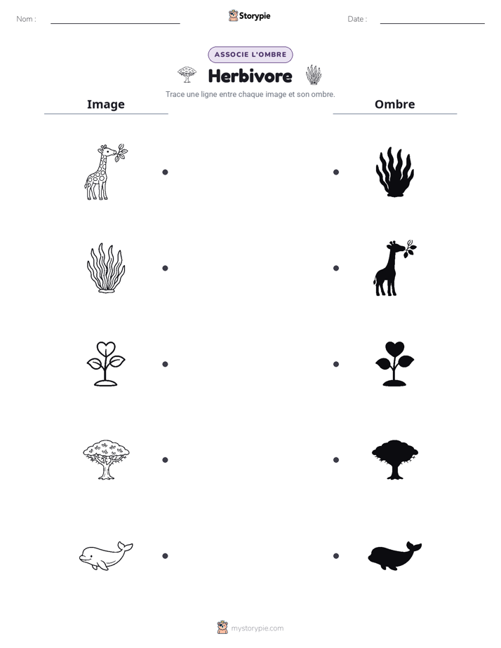 Correspondance d'Ombres