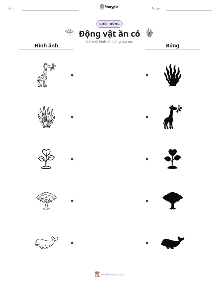 Ghép Hình Bóng