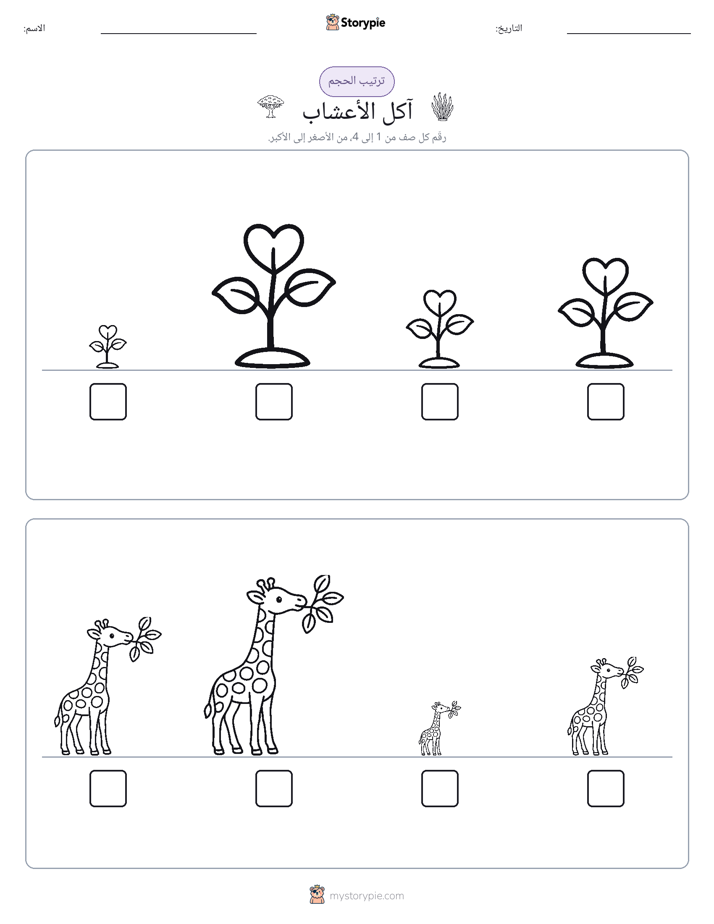 ترتيب الحجم