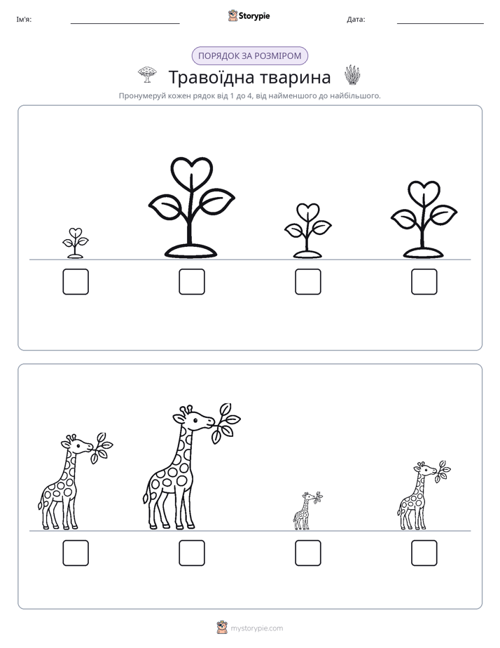 Порядок Розміру