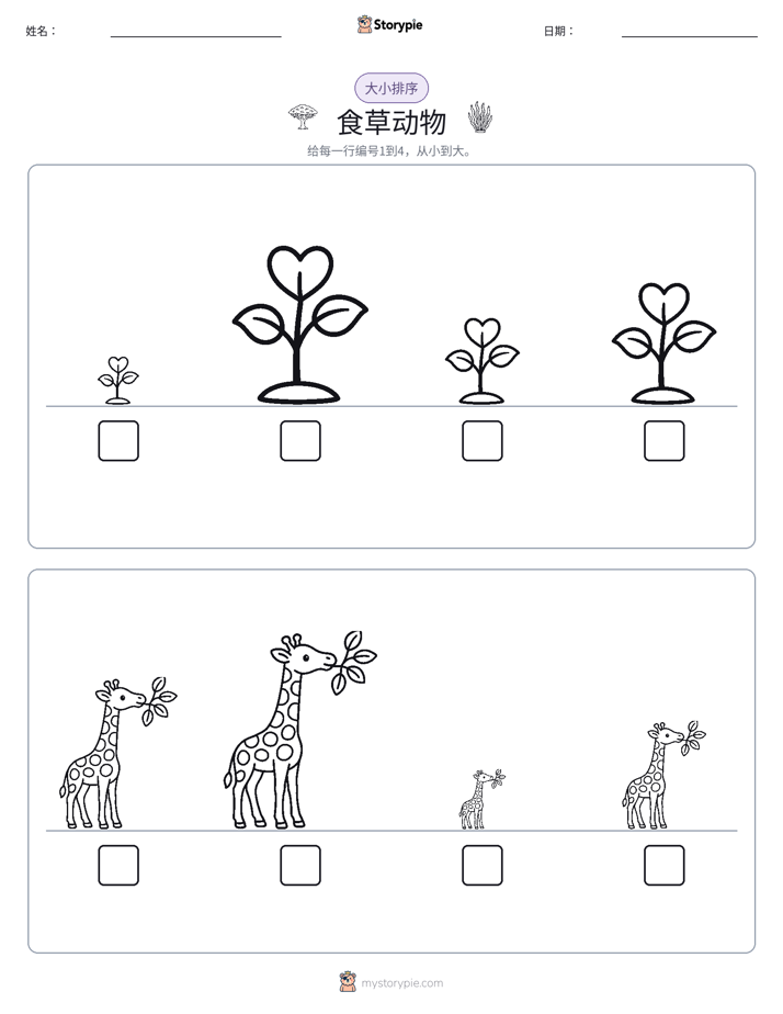 大小排序