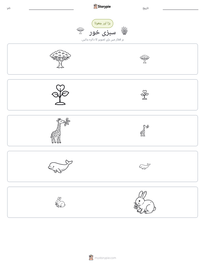 ترتیب دینا
