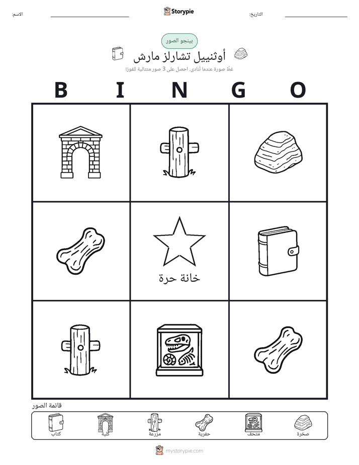 بينغو الصور