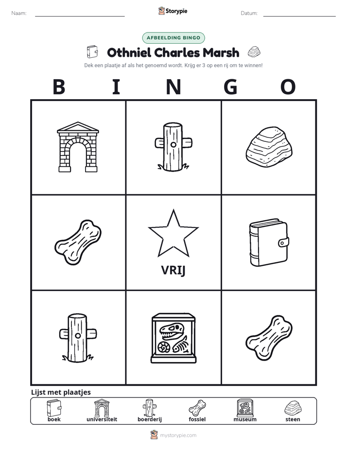 Afbeelding Bingo