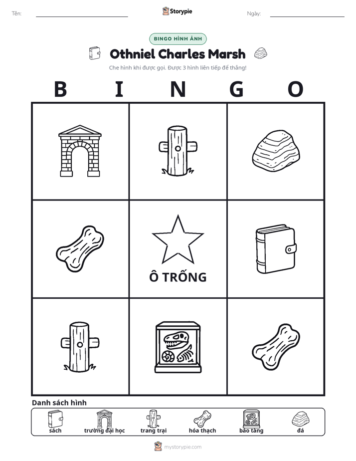 Bingo Hình Ảnh