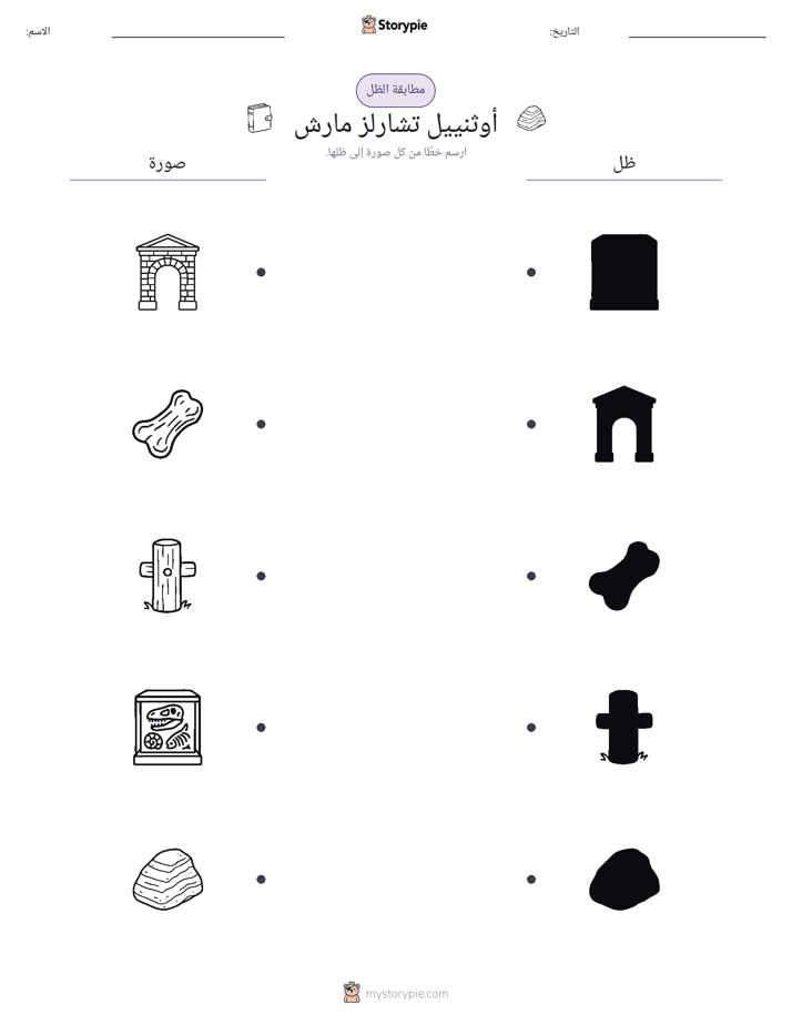 مطابقة الظل