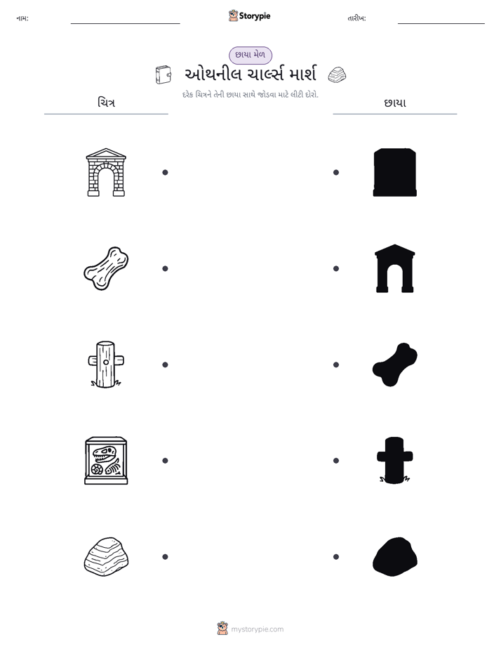 શેડો મેચ