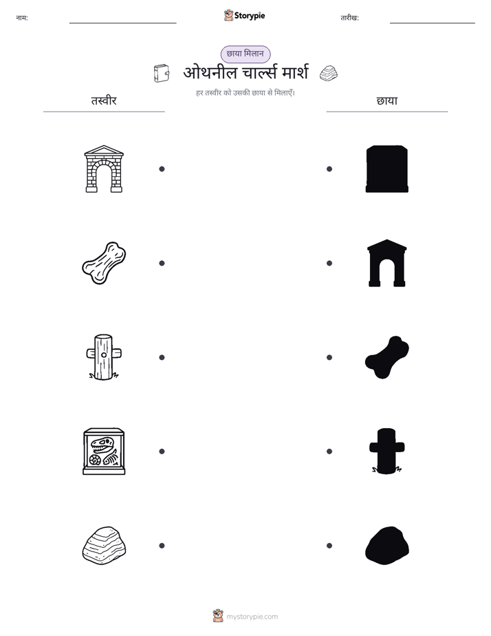 छाया मिलान