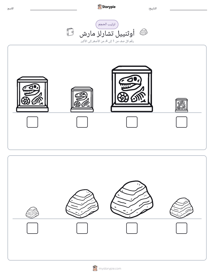 ترتيب الحجم