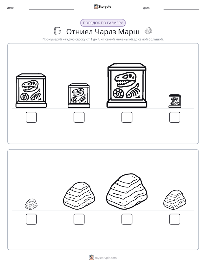 Размеры в порядке
