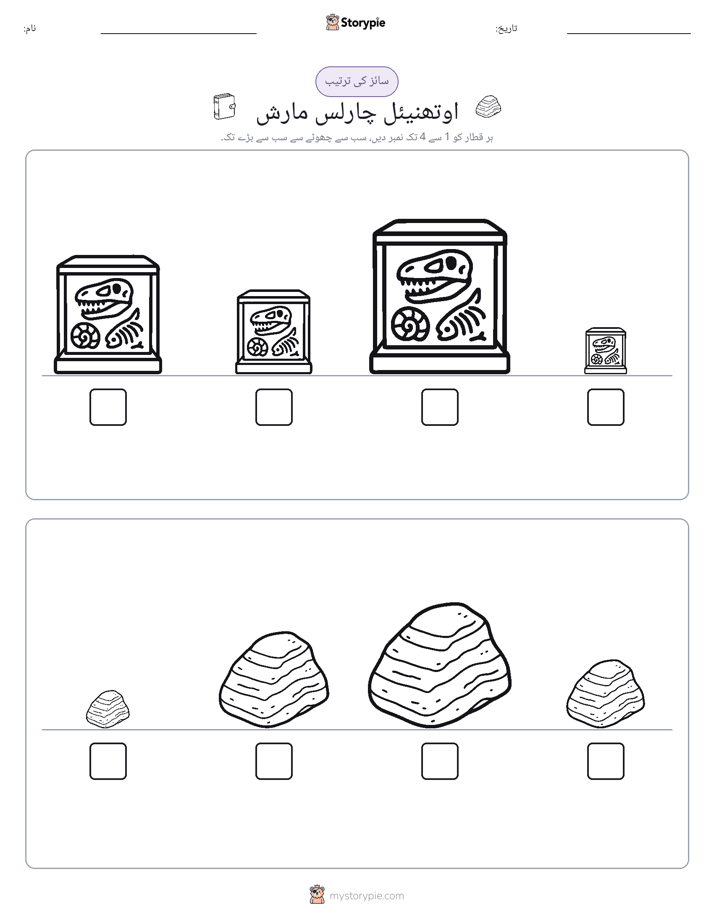 سائز کی ترتیب