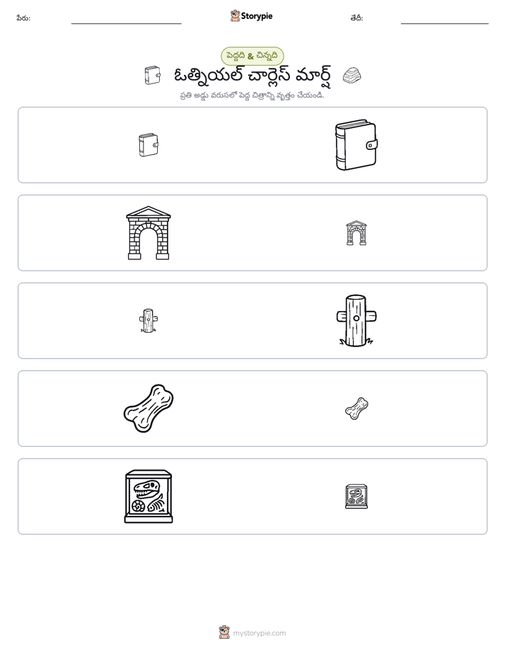 వర్గీకరణ