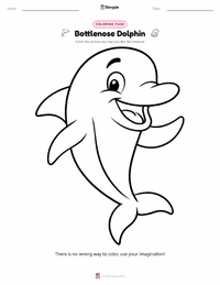 Bottlenose Dolphin coloring page for kids