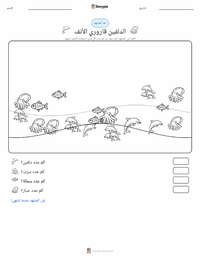 معاينة ورقة العمل القابلة للطباعة الدلفين قاروري الأنف