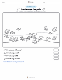 Bottlenose Dolphin printable worksheet preview