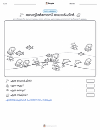 ബോട്ടിൽനോസ് ഡോൾഫിൻ പ്രിന്റ് ചെയ്യാവുന്ന വർക്ക്‌ഷീറ്റ് മുൻകൂർ കാഴ്ച