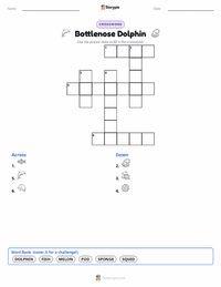 Bottlenose Dolphin printable worksheet preview
