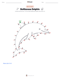Bottlenose Dolphin printable worksheet preview