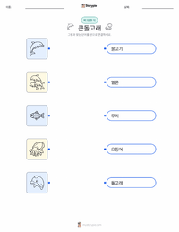 큰돌고래 어린이용 인쇄 가능한 워크시트