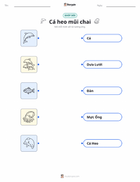 Tài liệu in sẵn Cá heo mũi chai cho trẻ em