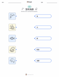 宽吻海豚 可打印工作表，适合儿童