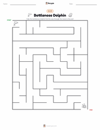 Bottlenose Dolphin printable worksheet preview