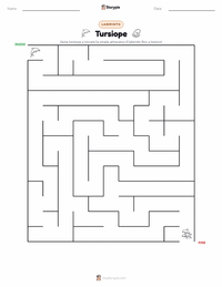Anteprima della scheda stampabile di Tursiope