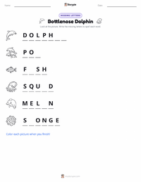 Bottlenose Dolphin printable worksheet preview