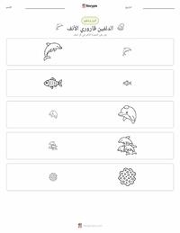 معاينة ورقة العمل القابلة للطباعة الدلفين قاروري الأنف