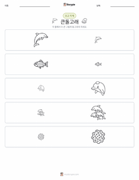 큰돌고래 인쇄 가능한 워크시트 미리보기