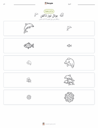 بوتل نوز ڈولفن پرنٹ کرنے کے قابل ورکشیٹ کا پیش نظارہ