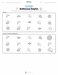 Bottlenose Dolphin printable worksheet preview