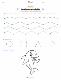 Bottlenose Dolphin printable worksheet preview