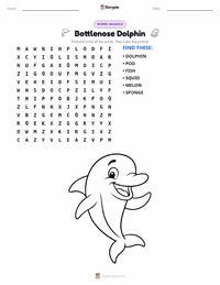 Bottlenose Dolphin printable worksheet preview