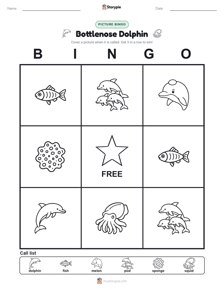 Picture Bingo