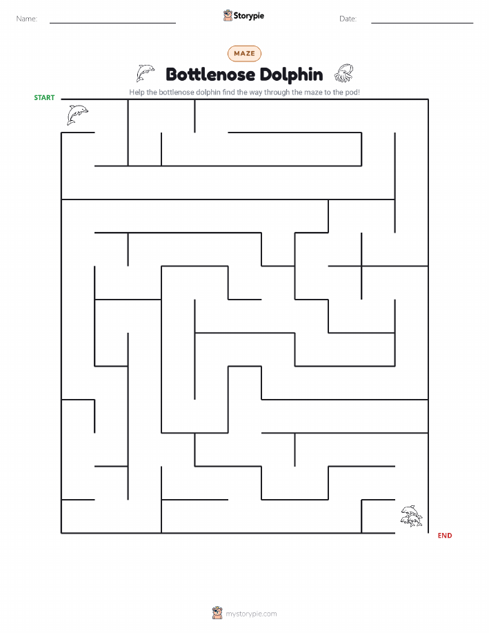Maze