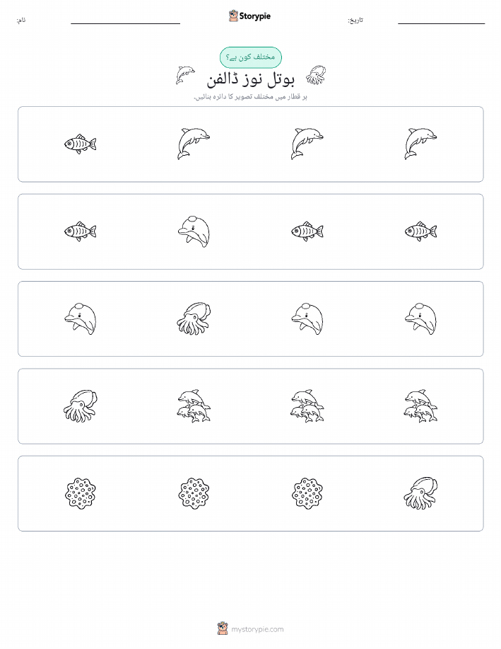 عجیب ایک