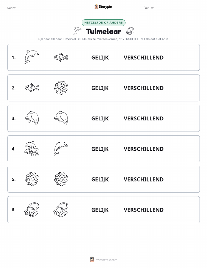Zelfde of Verschillend