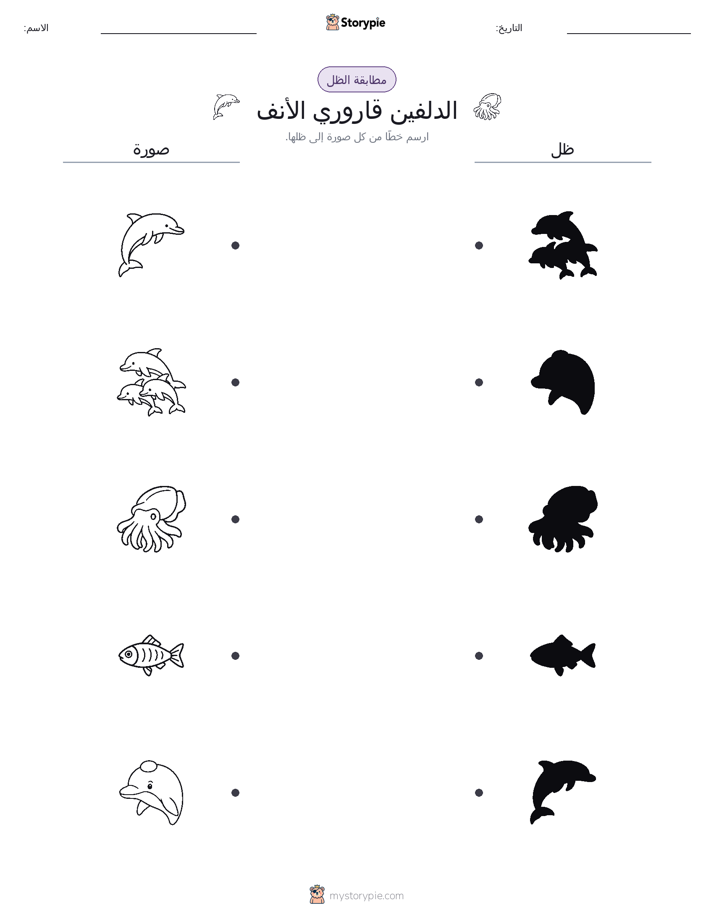 مطابقة الظل