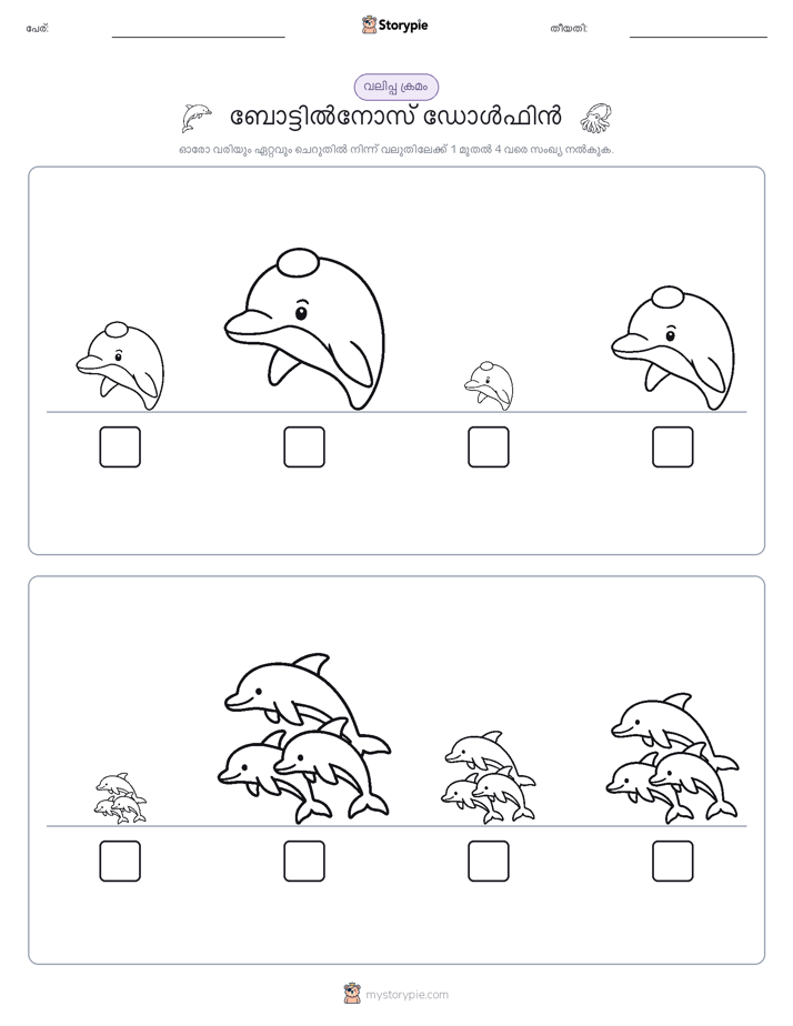 വലുപ്പം ക്രമം