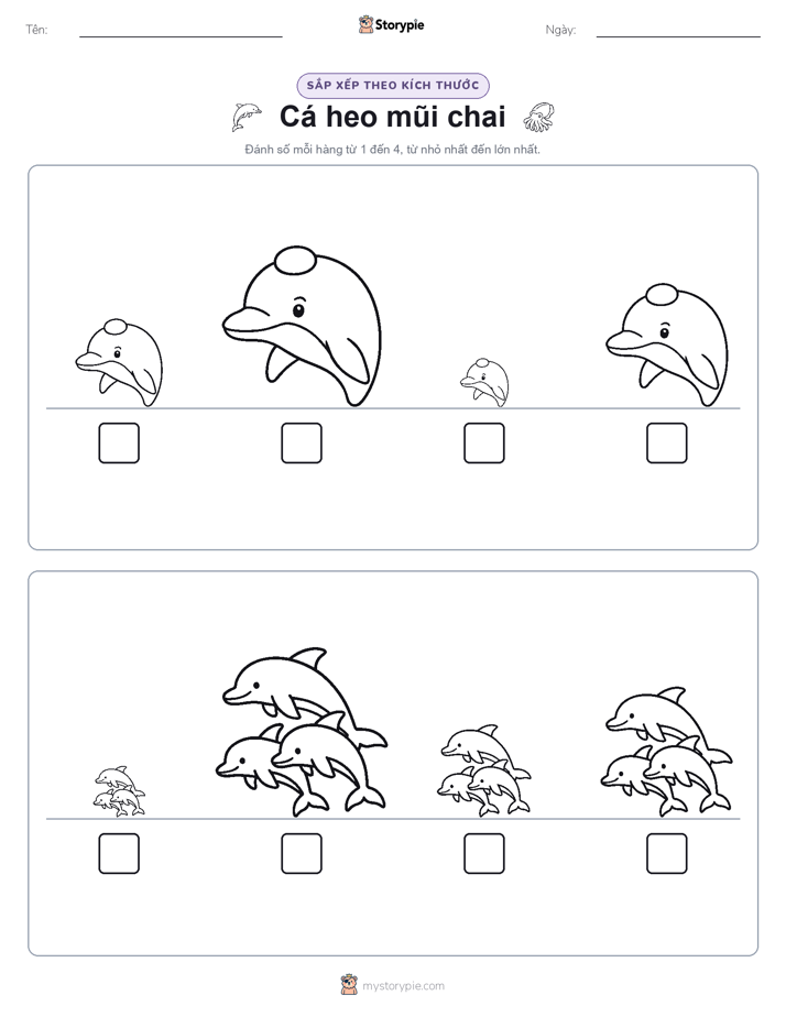 Thứ Tự Kích Thước