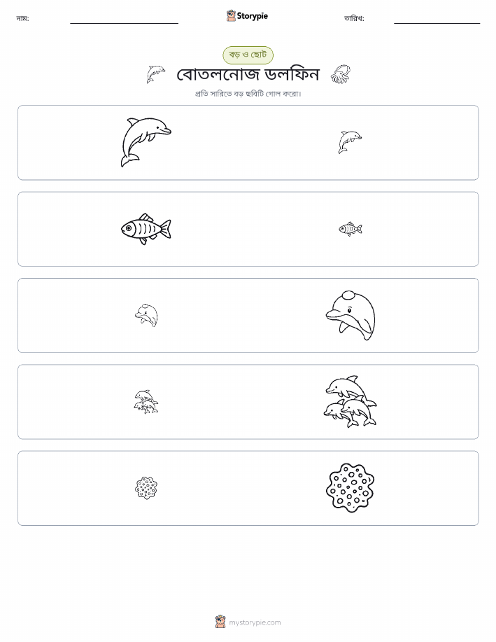সাজানো