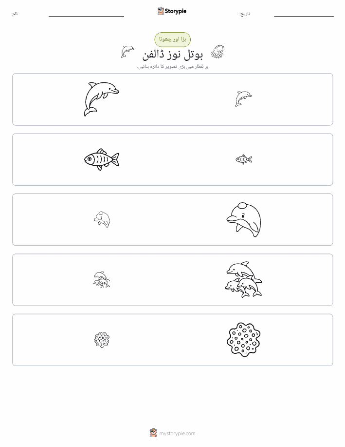 ترتیب دینا