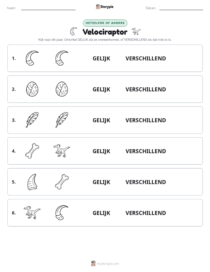 Zelfde of Verschillend