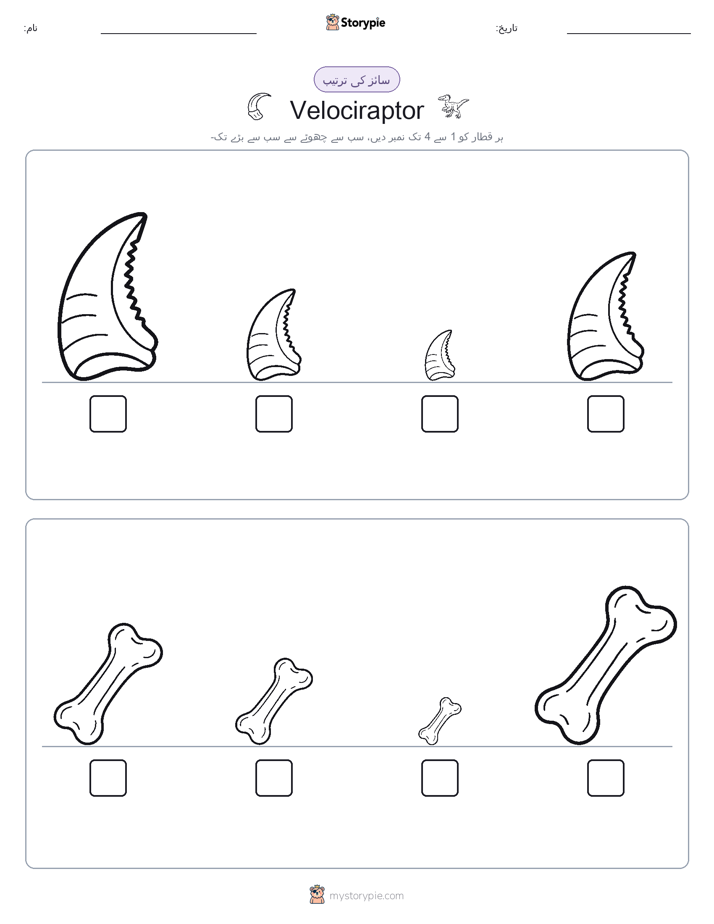 سائز کی ترتیب