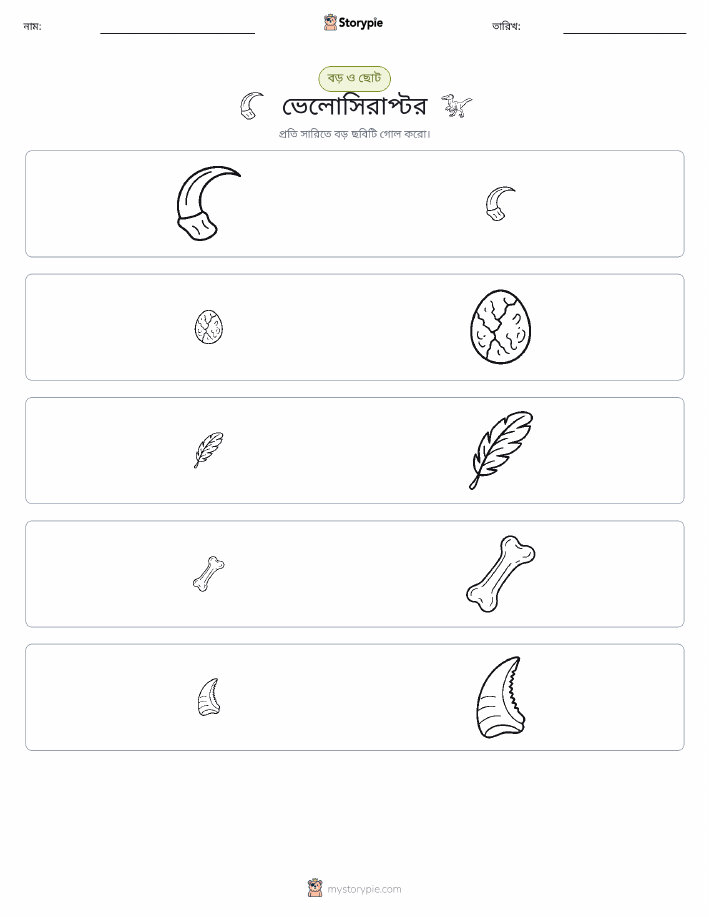 সাজানো