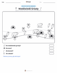 Podgląd drukowalnego arkusza ćwiczeń Niedźwiedź grizzly