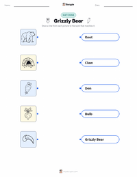 Grizzly Bear printable worksheet preview
