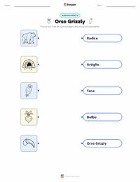 Scheda stampabile di Orso Grizzly per bambini
